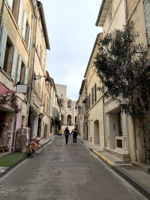 Apartment And Luminous House In Arles